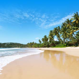 Geel zandstrand met Palmbomen op Sri Lanka